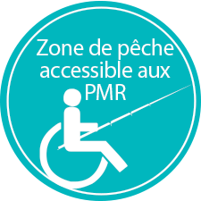 Ponton Handicapé