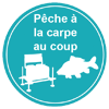 La pêche de la carpe au coup