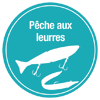 La pêche aux leurres artificiels