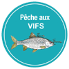 La pêche au vif