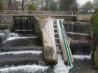 Passe à poissons auchy-lès-Hesdin / continuité écologique