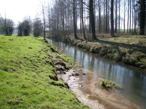 Avant.Piétinement