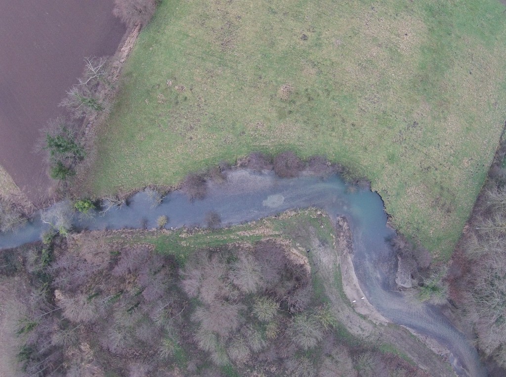 Suivi des frayères des Grands Salmonidés sur le bassin de la Hem