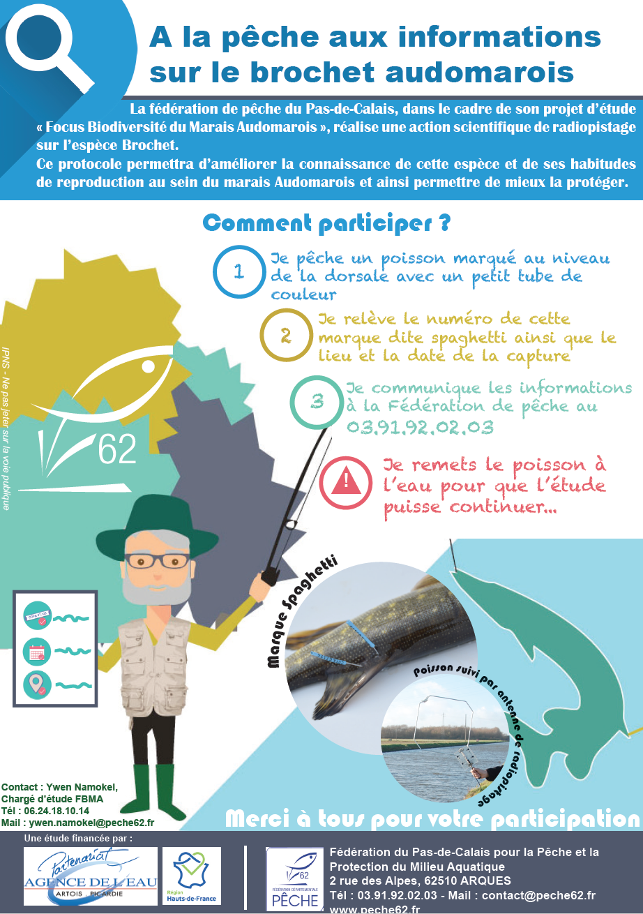 Sciences participatives : à la pêche aux informations sur le brochet audomarois