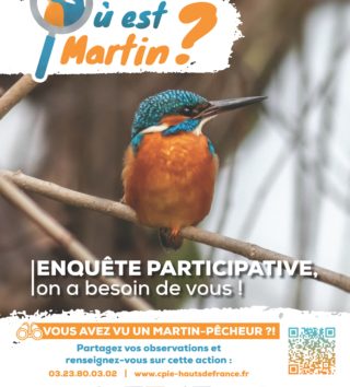 Titre