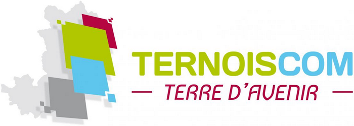 Ternois Com Logo