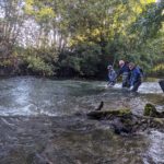 Etude télémétrique Fédération de Pêche du Pas-de-Calais