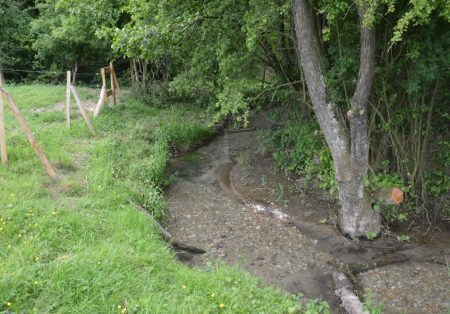 restauration écologique du ruisseau des sources