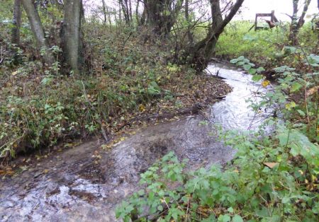restauration écologique du ruisseau saint vaast