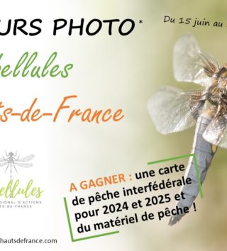 Titre