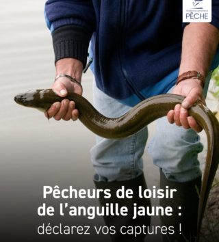 Titre