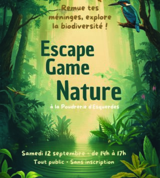 Titre
