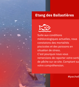 Titre